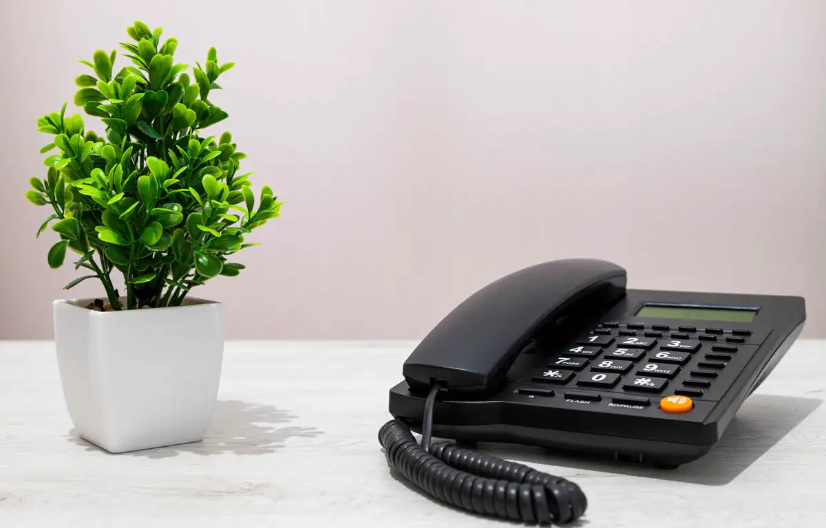 Tarotistas y VoIP: Crecen ingresos con teléfono 806